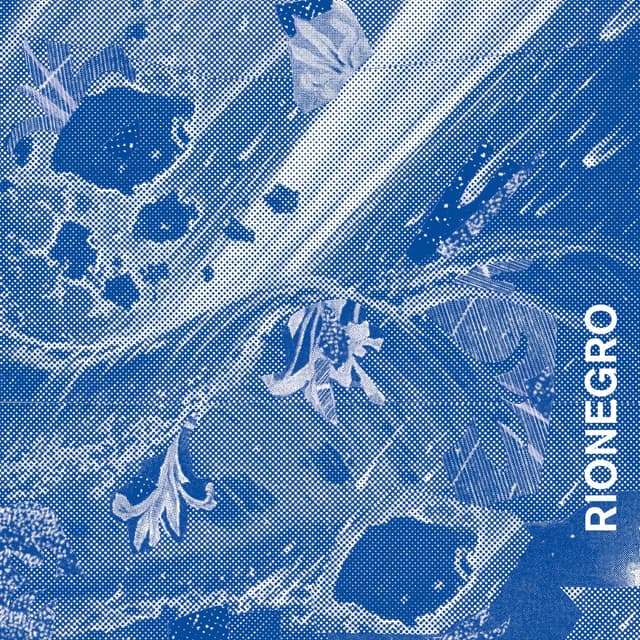 Album cover art for Rionegro
