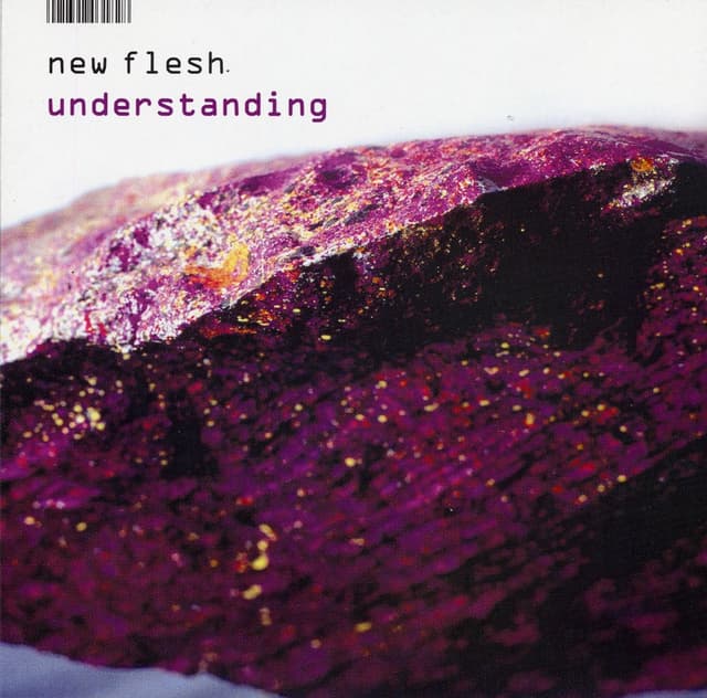 Album cover art for Understanding