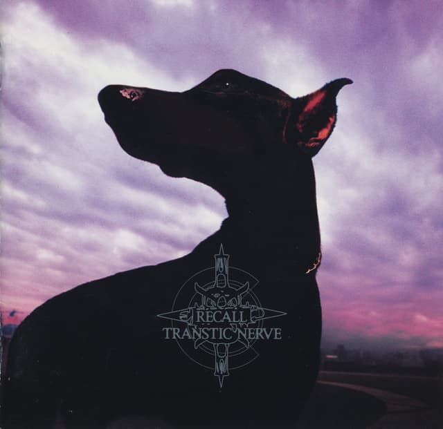 Album cover art for RECALL