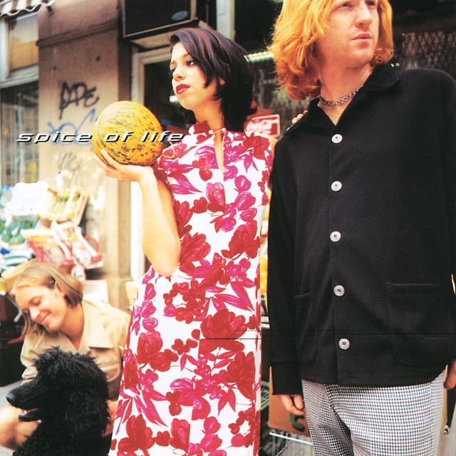 Album cover art for Spice Of Life