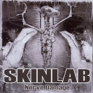 Album cover art for Nerve Damage