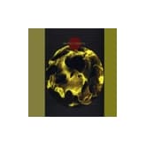 Album cover art for Death Ambient