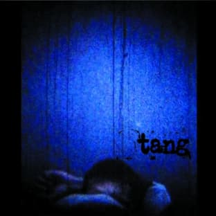 Album cover art for This Quietness Booms About On The Walls Like Birds In Panic