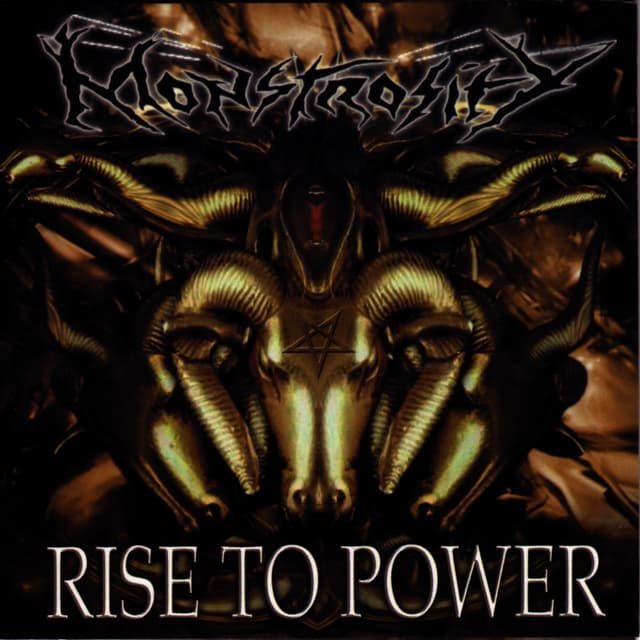 Album cover art for Rise to Power