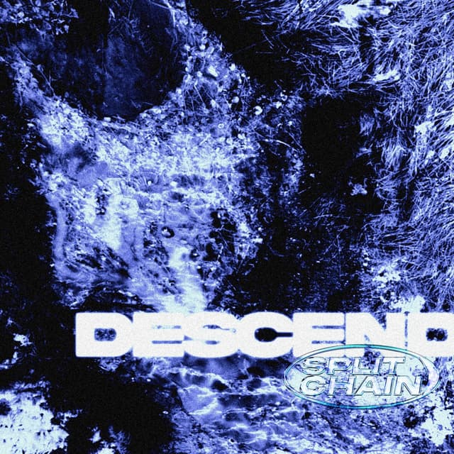 Album cover art for Descend