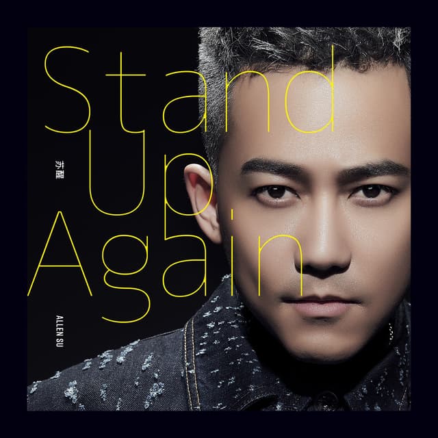 Album cover art for Stand Up Again