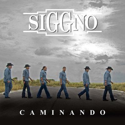 Album cover art for Caminando