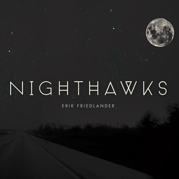 Album cover art for Nighthawks