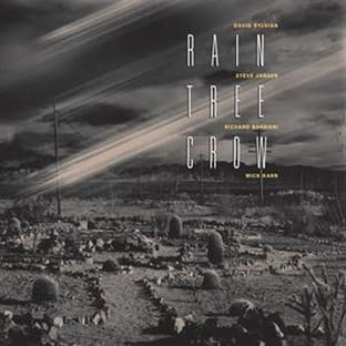Album cover art for Rain Tree Crow