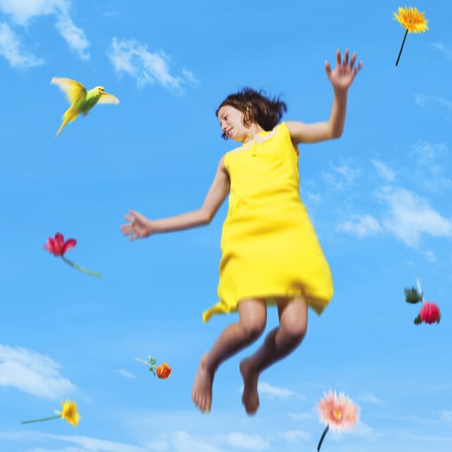 Album cover art for bird