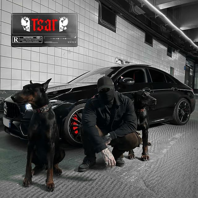 Album cover art for TSAR