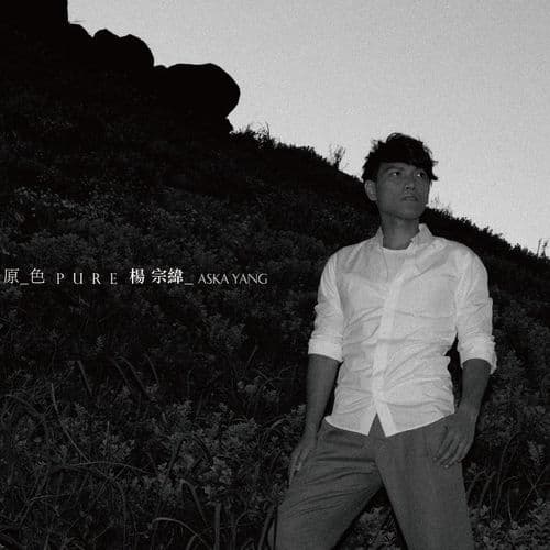 Album cover art for Pure Aska