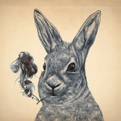 Album cover art for Manger du Bois