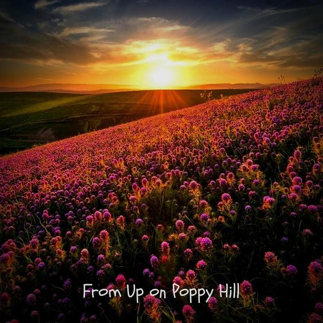 Album cover art for From Up on Poppy Hill