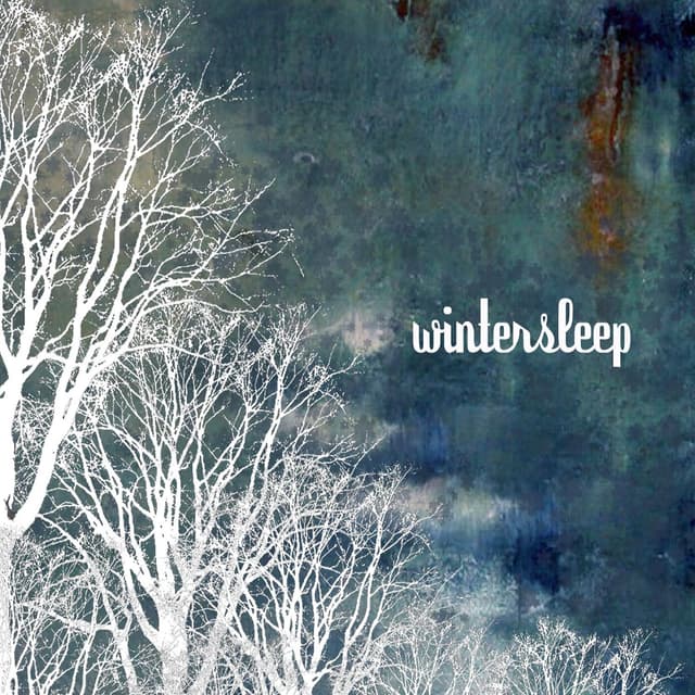 Album cover art for Wintersleep