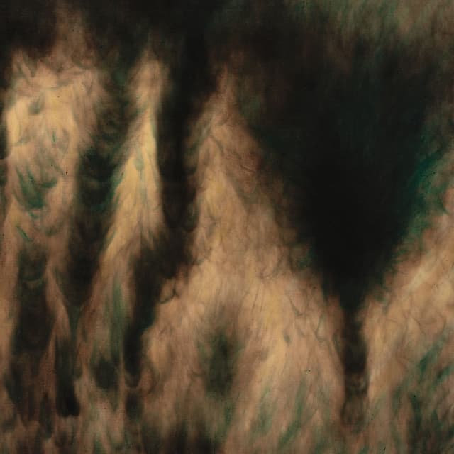 Album cover art for Lamentations