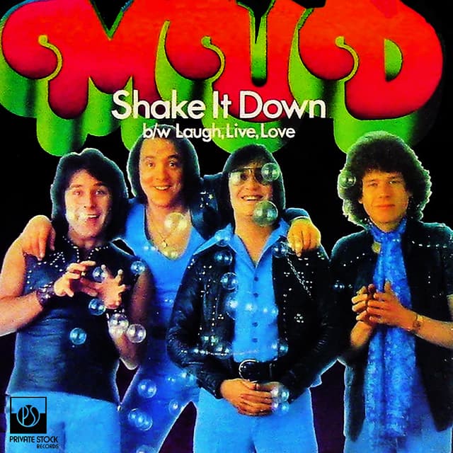 Album cover art for Shake It Down