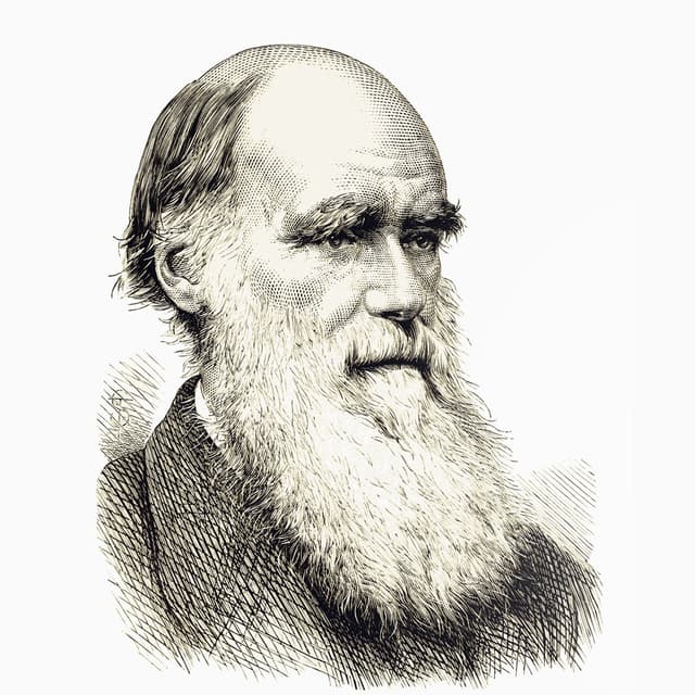 Album cover art for Selección Natural