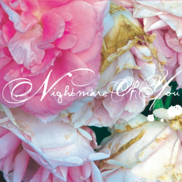 Album cover art for Nightmare Of You