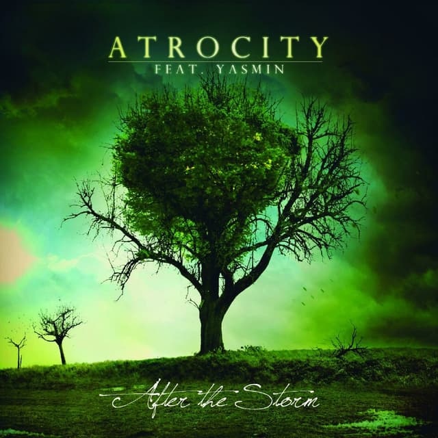 Album cover art for After the storm