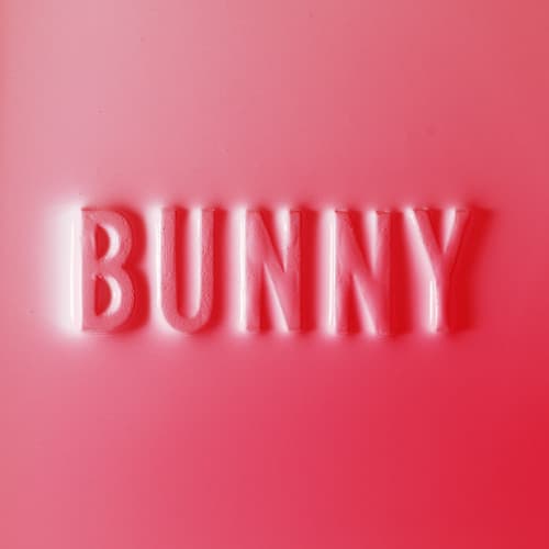 Album cover art for Bunny