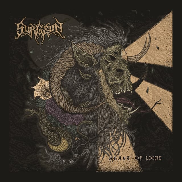 Album cover art for Beast of Light