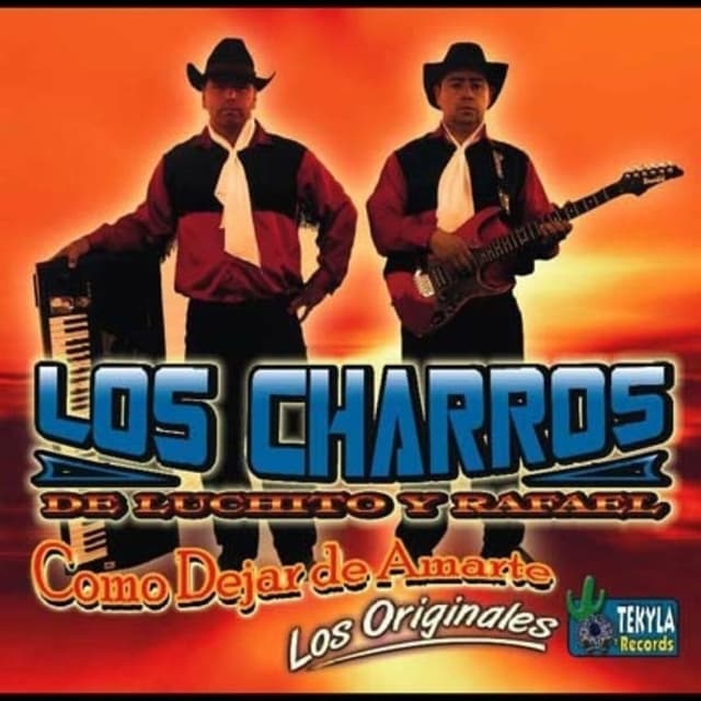 Album cover art for Como Dejar de Amarte