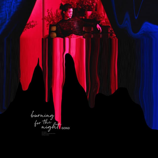 Album cover art for Burning for the Night