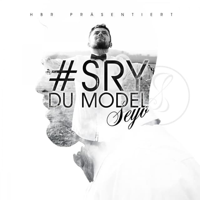 Album cover art for Sry du Model