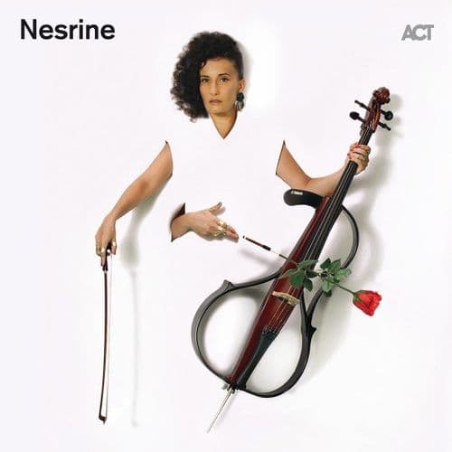 Album cover art for Nesrine