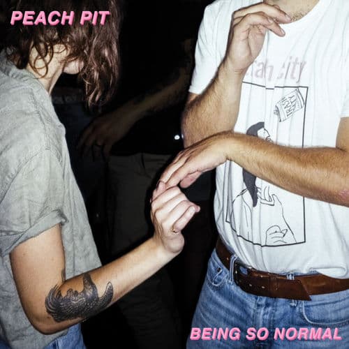 Album cover art for Being So Normal