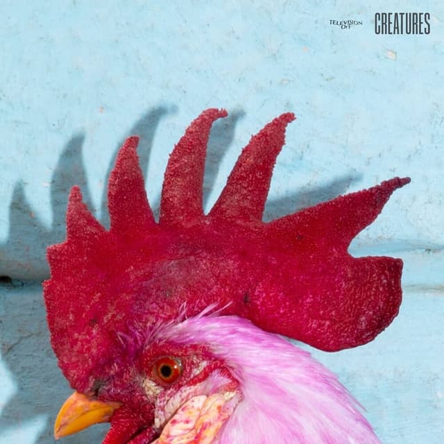 Album cover art for Creatures