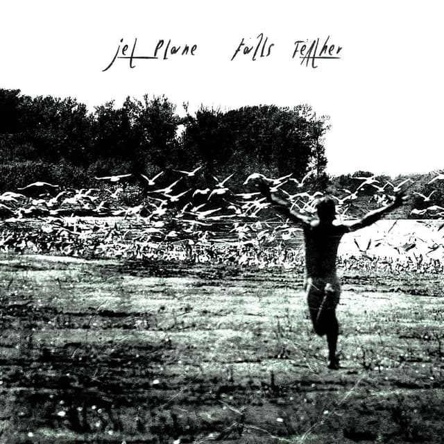 Album cover art for Falls Feather
