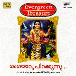 Album cover art for Gangayaar -Violin Version By Kunnakudi V