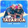 Talarica