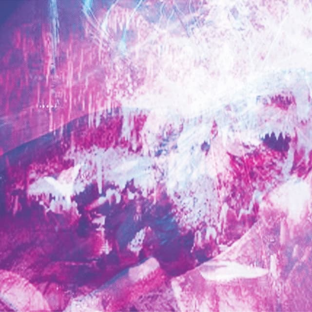 Album cover art for A Lion's Baptism