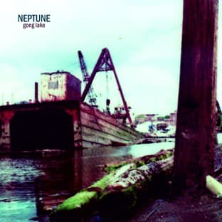 Album cover art for Gong Lake