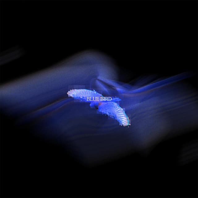 Album cover art for 새야새야 파랑새야 (prod. 송유담)