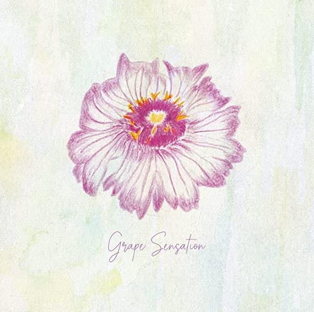 Album cover art for グレープセンセーション