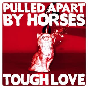 Album cover art for Tough Love