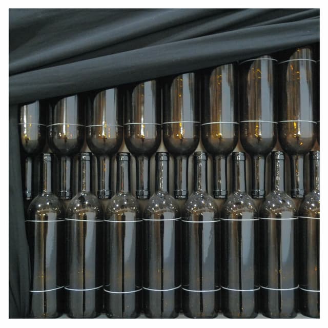 Album cover art for Red Barked Tree