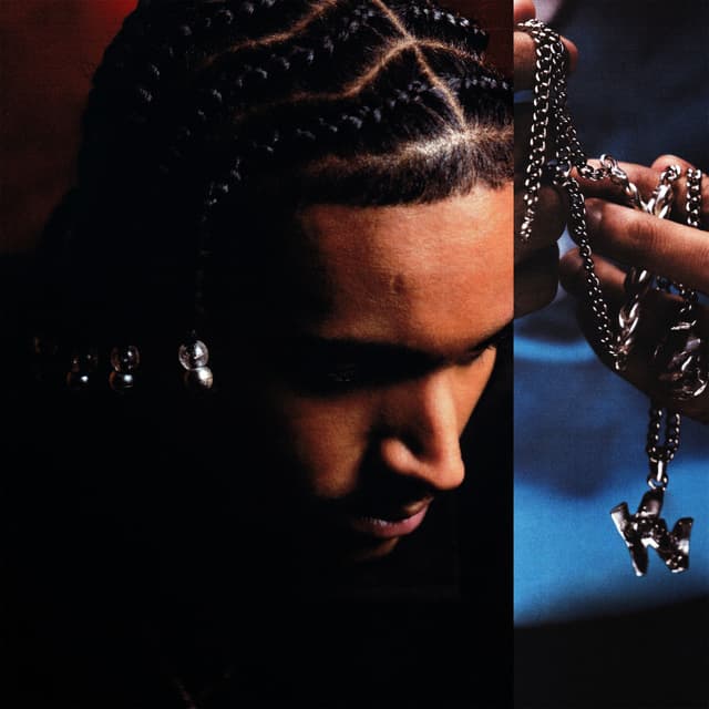 Album cover art for L'AFRO OU LES TRESSES