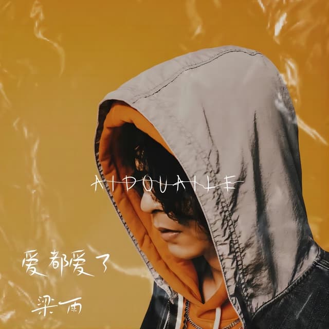 Album cover art for 爱都爱了
