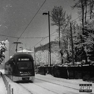 Album cover art for Chic Nisello