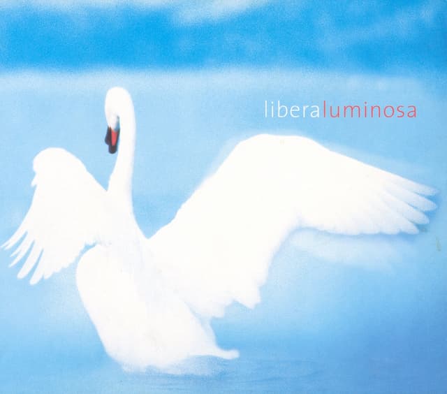 Album cover art for Luminosa