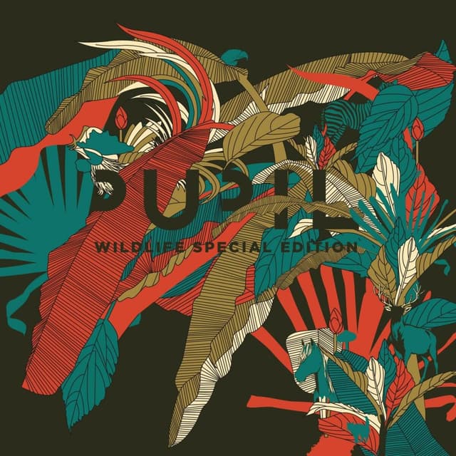 Album cover art for Wildlife