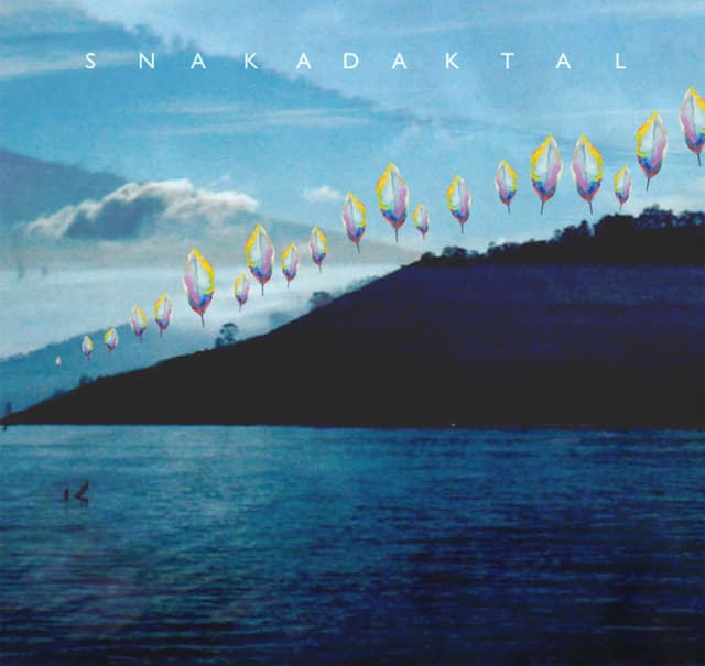 Album cover art for Snakadaktal
