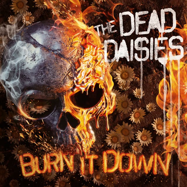 Album cover art for Burn It Down