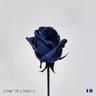 Loved