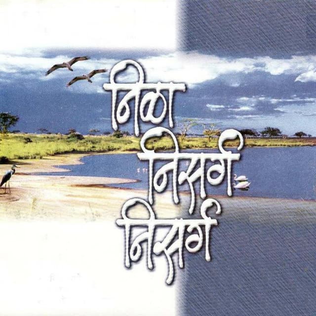 Album cover art for Nila Nisarg Nisarg